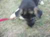 Photo Number 5