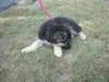 Photo Number 7