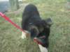Photo Number 8
